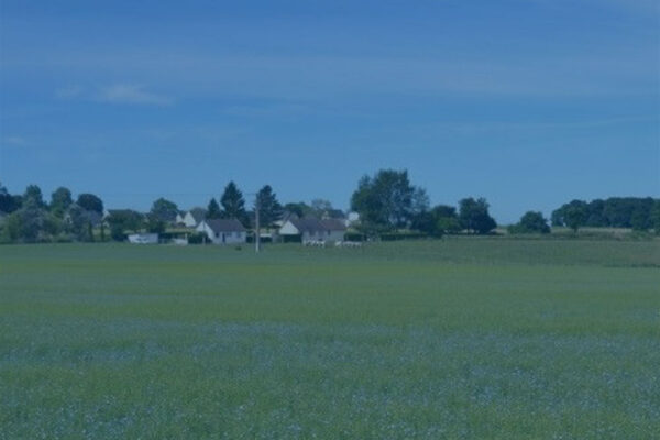 Aménagement de 3 terrains à bâtir – Malaunay